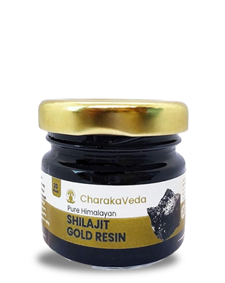 CharakaVeda Shilajit Gold Resin | Pure Himalayan Shilajit for Strength, Stamina & Immunity | Boost Energy, Muscle Recovery & Endurance | Ayurvedic Formula to Rejuvenate Mind & Body